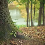Derrick Clayton - @bridgetaxel1099 - Instagram