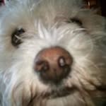 Derek Cleary - @derekcleary1234 - Instagram