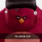 Derick Diaz - @derick_angrybird - Instagram