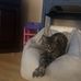Derick Fox - Facebook