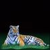 Derrick Fox - Facebook