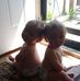 Derick J. Goodrich - Facebook