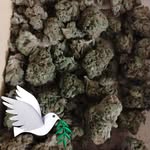 Derrick Goodwin Jr. - @jr.derrickgoodwin - Instagram