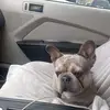 Derrick Green - @derrick.green2 - TikTok