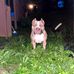 Derek Hall - Facebook