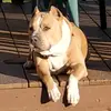Stryker - @derick_hendricks - TikTok