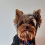 Derick Henry - @derick.henry.12935 - Instagram