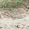 derick_henry - @derick_henry - TikTok