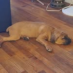 Derick Justice - @swiftjustice1.dj - Instagram