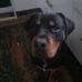 Derick Mack - Facebook