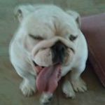 Derrick McCoy - @derrick.mccoy.1884 - Instagram