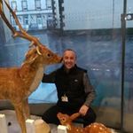 Derek Mcgrath - @mcgrath_derek - Instagram