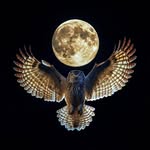 Derick Mills - @derickdmills - Instagram