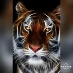 Derick miranda - @mirderick - Instagram