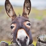 Derick Newton - @dericknewton247 - Instagram