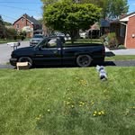 Derick Palmer - @palmer_derick - Instagram