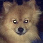 Derick Parker - @_savage_ld - Instagram