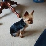 Derick Partridge - @derickpartridge - Instagram