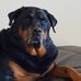 Derrick Peppers - Facebook