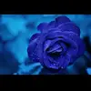 Derrick Ramirez - @derrick.ramirez2 - TikTok