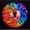 Derrick Randall - @derrick.randall - TikTok