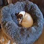 Derick Sargent - @dericksargent - Instagram