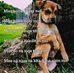 Derick Serrano - Facebook