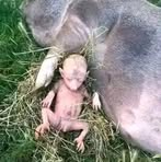 Derick Spencer - Facebook