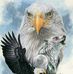 Derick Troxell - Facebook