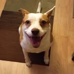 Derick Wong - @d_w0ng - Instagram