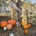 Derek Bernhardt - Facebook