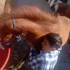 Derik Diaz - @derik.diaz - TikTok