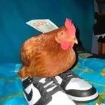 Derik Hall - @chicken_p.i.m.p - Instagram