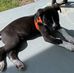 Derik Harold - Facebook