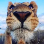 Derik Jackson - @__derik_jack__ - Instagram