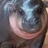 Erect Nelson - @deriklongbody - TikTok