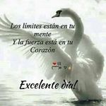 Derik Martinez - @derik.martinez.18 - Instagram