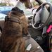 Derek M Nelson - Facebook