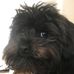 Derik Oliver - Facebook