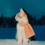 Derik Pérez - @derik_9452 - Instagram