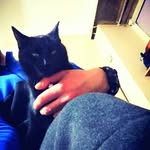 Derik Ramos - @derikusramos - Instagram