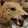 Derik Watson - @derik.watson7 - TikTok