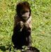 Derk Jan Bos - Facebook