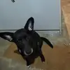 Derly Alvarez - @derly.alvarez52 - TikTok