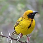 Dermot Clarke - @clarke_dermot - Instagram