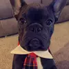 dermottmason - @dermottmason - TikTok