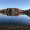 Deron Thompson - @deron.thompson1 - TikTok