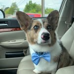 Derrel Martin Jr. - @derrelmartin - Instagram