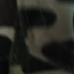 Derrell Smith - @derrell.smith.545 - Instagram