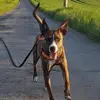 derhellwich - @derhellwich - TikTok